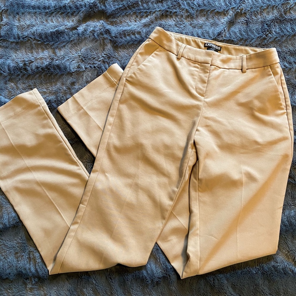 Express Columnist Pant, Size 2L